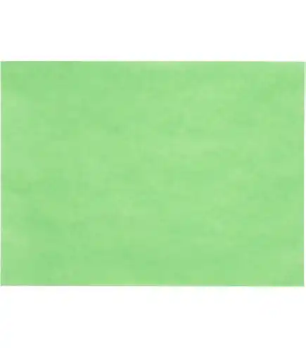 Green Peach Paper 10inch x 30inch